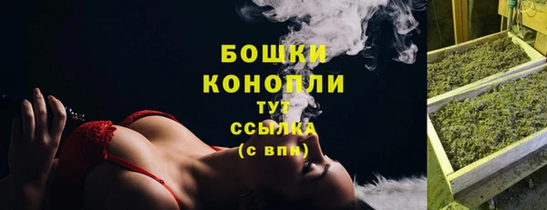 не бодяженный Корсаков