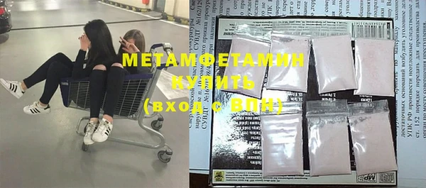 индика Болотное
