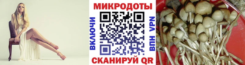 площадка как зайти  Мещовск  Галлюциногенные грибы ЛСД 